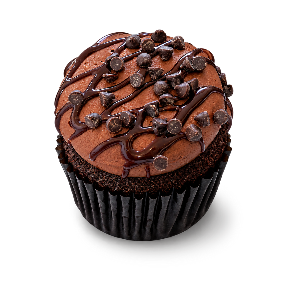 Double Chocolate Chip Fudge