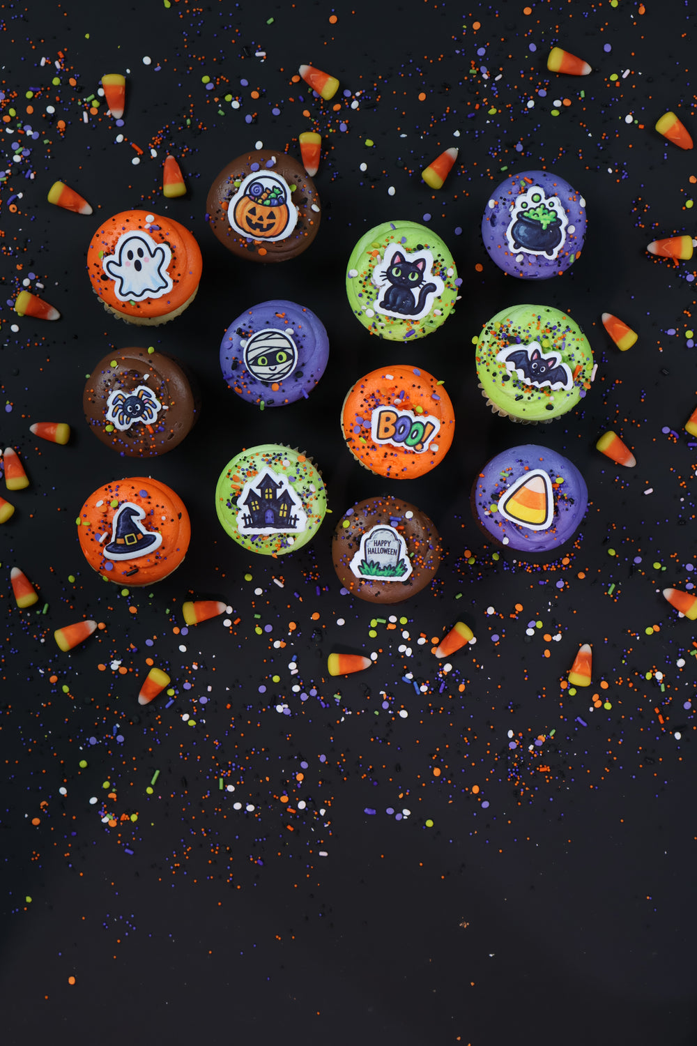 Halloween Party Dozen