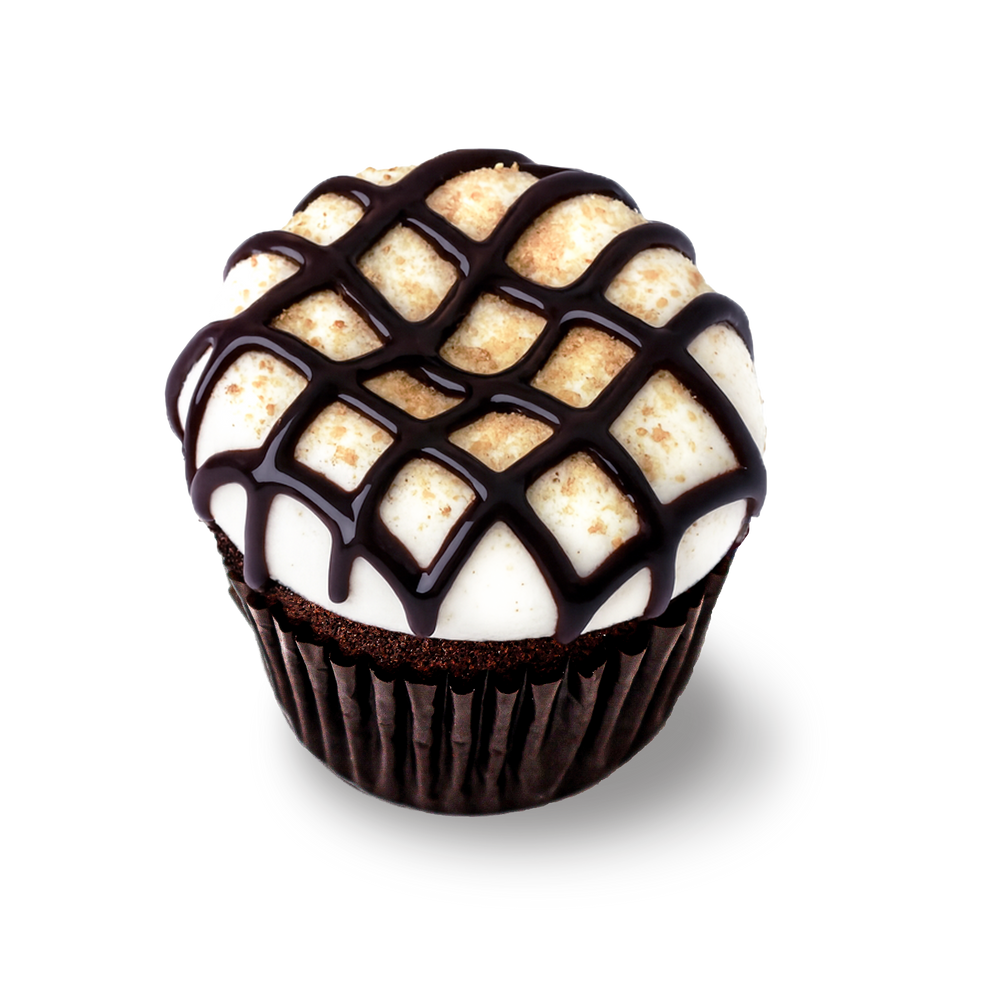 Chocolate S'more Cheesecake