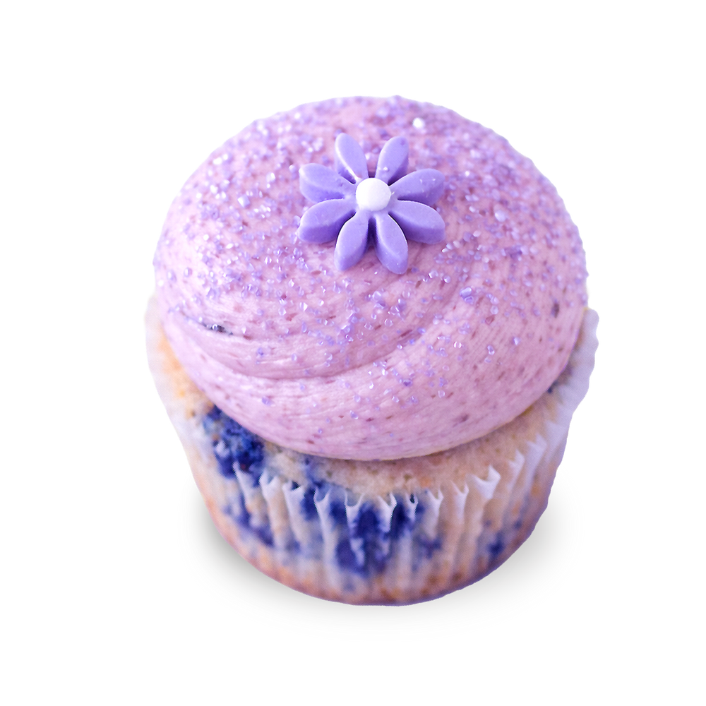 Blueberry cupcake with lavender frosting and flower