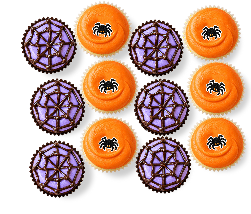 Spiders & Webs Dozen